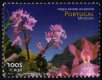 (image for) 1999 Madeira