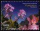 (image for) 1999 Madeira
