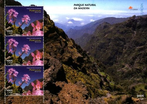 (image for) 1999 Madeira M/S