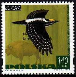 (image for) 1999 Poland