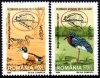 (image for) 1999 Romania