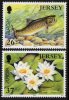 (image for) 2001 Jersey (2v)