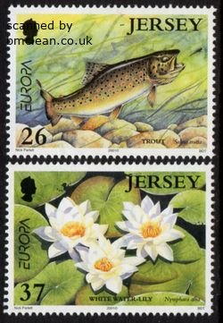 (image for) 2001 Jersey (2v)