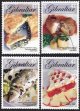 (image for) 2005 Gibraltar
