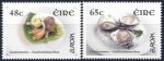 (image for) 2005 Ireland