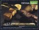 (image for) 2005 Madeira