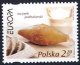(image for) 2005 Poland