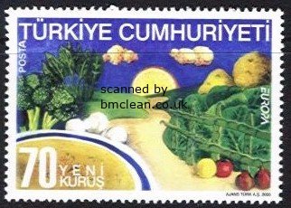 (image for) 2005 Turkey