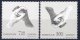 (image for) 2006 Faroes