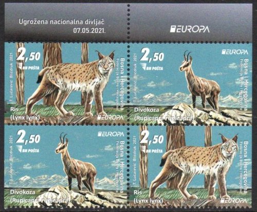 (image for) 2021 Bosnia Herzegovina (Ex Booklet)