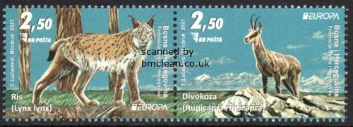 (image for) 2021 Bosnia Herzegovina