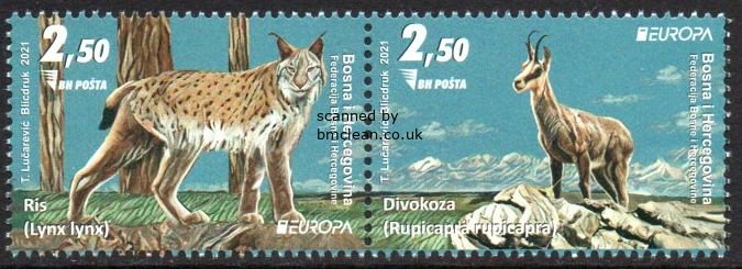 (image for) 2021 Bosnia Herzegovina