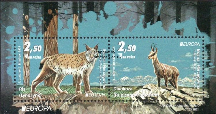 (image for) 2021 Bosnia Herzegovina (M/S)