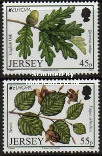 (image for) 2011 Jersey (2v)