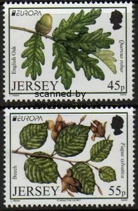 (image for) 2011 Jersey (2v)