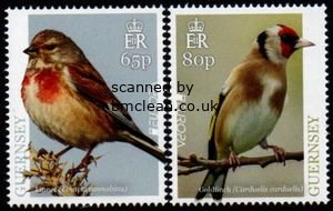 (image for) 2019 Guernsey