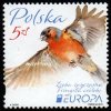 (image for) 2019 Poland