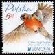 (image for) 2019 Poland