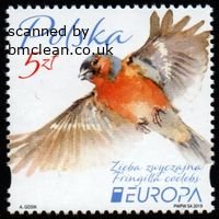 (image for) 2019 Poland