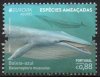(image for) 2021 Azores