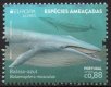 (image for) 2021 Azores