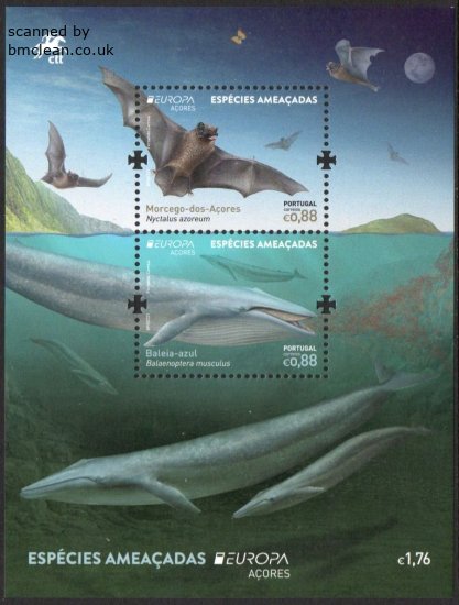 (image for) 2021 Azores (M/S)