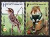 (image for) 2021 Belarus