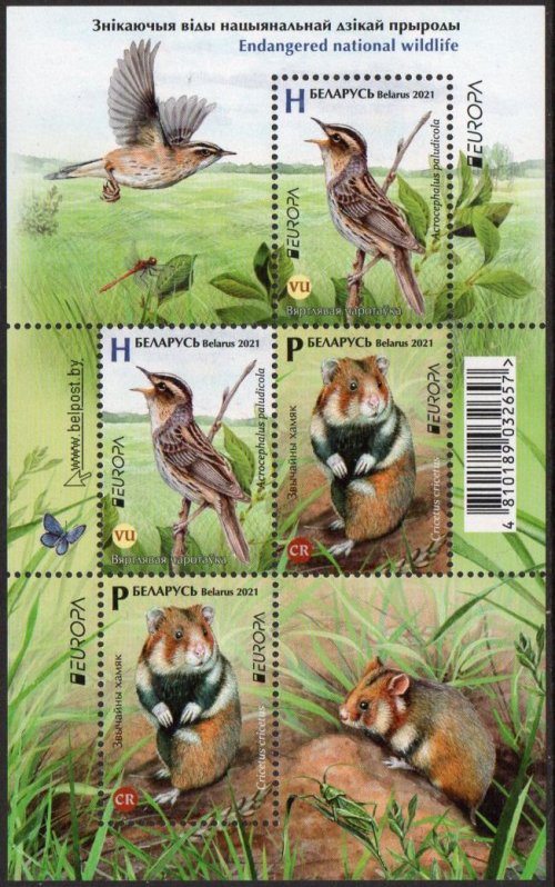 (image for) 2021 Belarus (M/S)