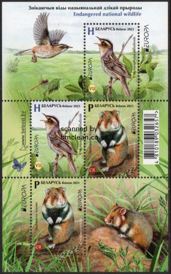 (image for) 2021 Belarus (M/S)