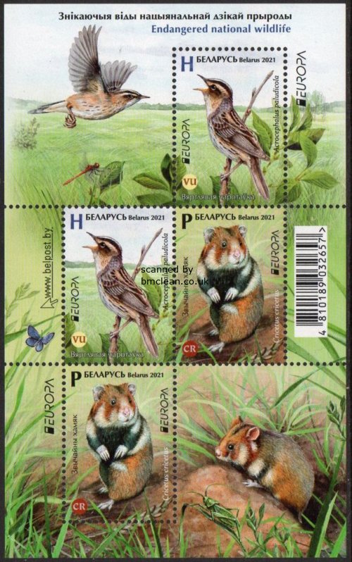 (image for) 2021 Belarus (M/S)