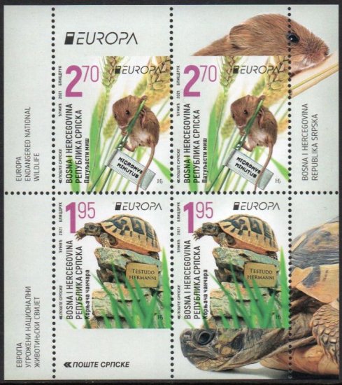 (image for) 2021 Bosnia Herzegovina - Serbia (Pane)