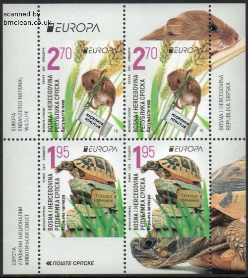 (image for) 2021 Bosnia Herzegovina - Serbia (Pane)