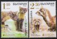 (image for) 2021 Bulgaria