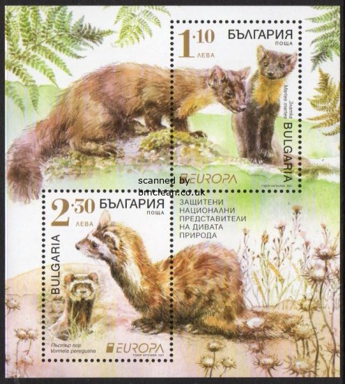 (image for) 2021 Bulgaria (M/S)