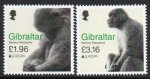 (image for) 2021 Gibraltar