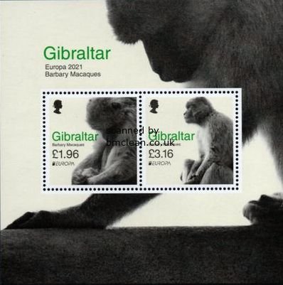 (image for) 2021 Gibraltar (M/S)