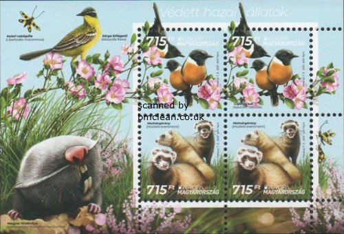 (image for) 2021 Hungary (M/S)