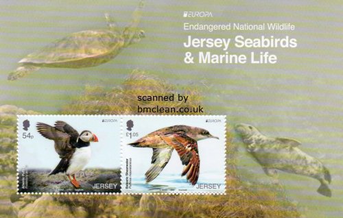 (image for) 2021 Jersey (M/S)