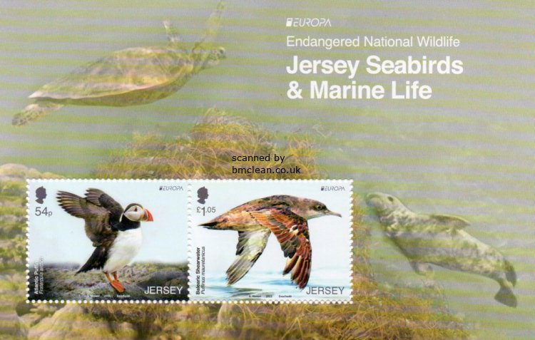 (image for) 2021 Jersey (M/S)