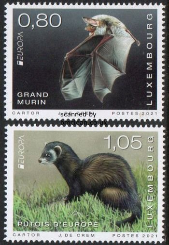 (image for) 2021 Luxembourg