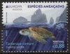 (image for) 2021 Madeira
