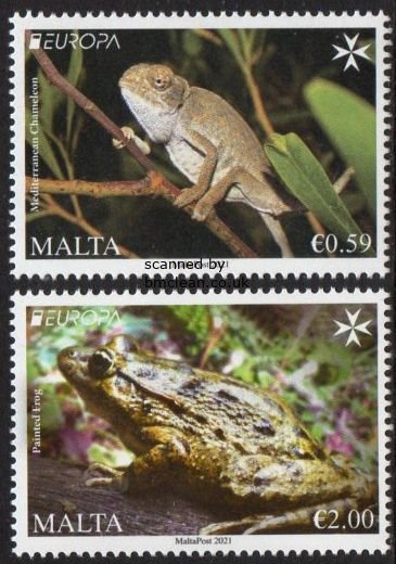 (image for) 2021 Malta