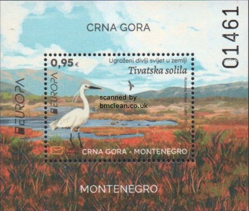 (image for) 2021 Montenegro (M/S)