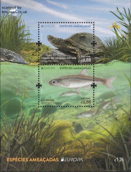 (image for) 2021 Portugal (M/S)