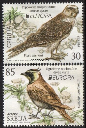 (image for) 2021 Serbia