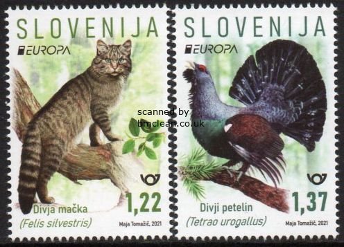 (image for) 2021 Slovenia