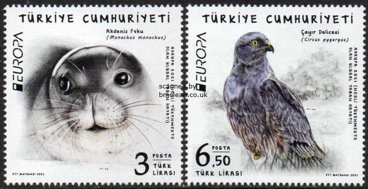 (image for) 2021 Turkey