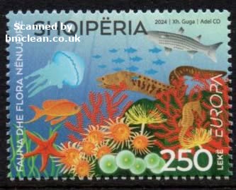 (image for) 2024 Albania