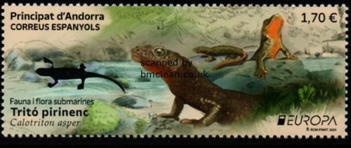 (image for) 2024 Andorra (Spanish)