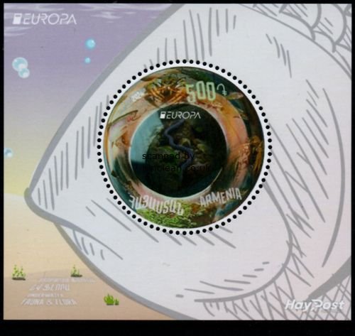 (image for) 2024 Armenia (M/S)